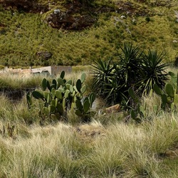 OSSERVAZIONI. Fotografie di Giulio Azzarello ©2022. OSSERVAZIONI. Fotografie di Giulio Azzarello ©2022.