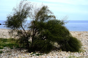 FIUMARA D ARTE Tusa. Fotografie di Giulio Azzarello &copy;2022.