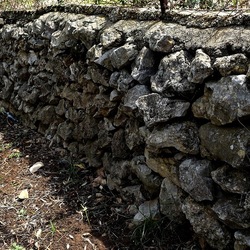 CAMMINANDO. Fotografie di Giulio Azzarello &copy;2024.