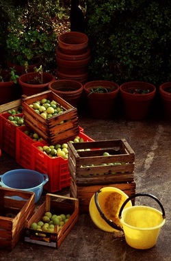 DIGITALIZZAZIONI fotografie di Giulio Azzarello &copy;2020.