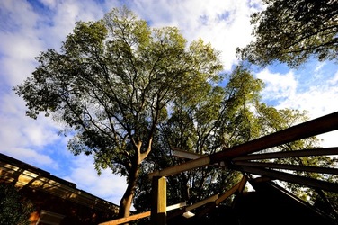 BIENNALE di VENEZIA 2017 i giardini. Fotografie di Giulio Azzarello ©2018. BIENNALE di VENEZIA 2017 i giardini. Fotografie di Giulio Azzarello ©2018.