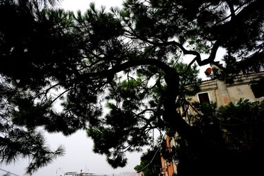 BIENNALE ARTI CONTEMPORANEE DI VENEZIA fotografie di Giulio Azzarello ©2020.