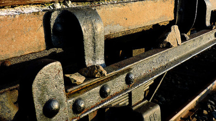 AUSCHHWITZ BIRKENAU la commemorazione. Fotografie di Giulio Azzarello &copy;2016.