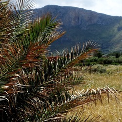 TERRASINI. Fotografie di Giulio Azzarello &copy;2022.