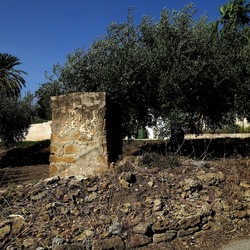 SELINUNTE. Fotografie di Giulio Azzarello ©2022. SELINUNTE. Fotografie di Giulio Azzarello ©2022.