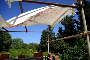 GIARDINO SICILIANO fotografie di Giulio Azzarello ©2021. GIARDINO SICILIANO fotografie di Giulio Azzarello ©2021.