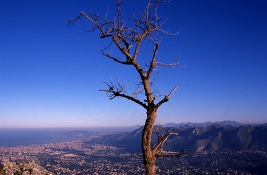 DIGITALIZZAZIONI fotografie di Giulio Azzarello &copy;2020.