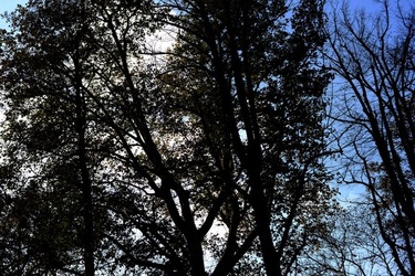 VENEZIA Giardini della Biennale di Arch. Cont.. Fotografie di Giulio Azzarello ©2022.