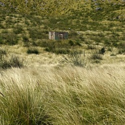 OSSERVAZIONI. Fotografie di Giulio Azzarello ©2022. OSSERVAZIONI. Fotografie di Giulio Azzarello ©2022.