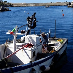 ISOLA. Fotografie di Giulio Azzarello &copy;2024.