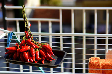 PEPERONCINO fotografie di Giulio Azzarello ©2014. PEPERONCINO fotografie di Giulio Azzarello ©2014.