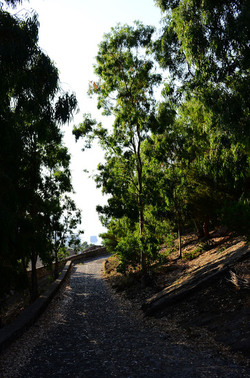 ISOLA DI USTICA il paese. Fotografie di Giulio Azzarello ©2016. ISOLA DI USTICA il paese. Fotografie di Giulio Azzarello ©2016.