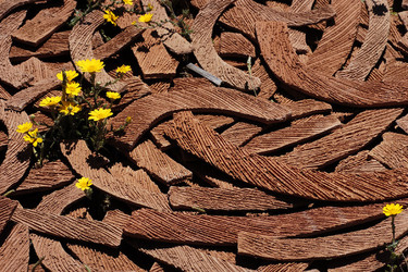 ARTE CONTEMPORANEA A PIRGI sito e riserva archeologica. Fotografie di Giulio Azzarello &copy;2014.