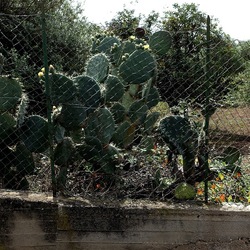 CAMMINANDO. Fotografie di Giulio Azzarello &copy;2024.