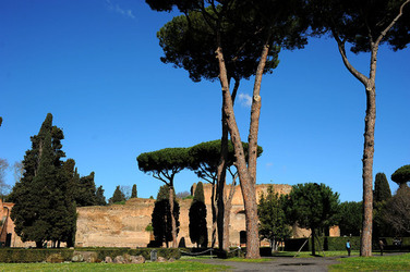 LE TERME DI CARACALLA a Roma visioni panoramiche o particolari. Fotografie di Giulio Azzarello &copy;2014.