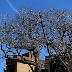 Arabo Normanno. Fotografie di Giulio Azzarello ©2024. Arabo Normanno. Fotografie di Giulio Azzarello ©2024.