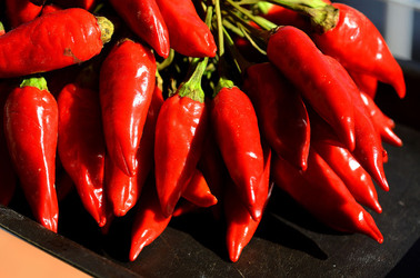 PEPERONCINO fotografie di Giulio Azzarello ©2014. PEPERONCINO fotografie di Giulio Azzarello ©2014.