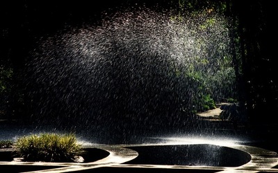 ORTO BOTANICO di Palermo. Fotografie di Giulio Azzarello ©2021.