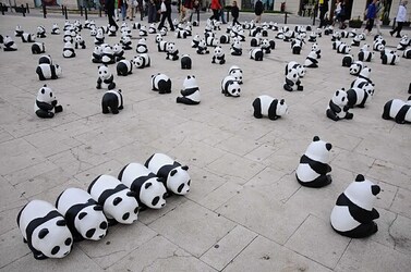 SIRACUSA arte a Ortiggia. Fotografie di Giulio Azzarello &copy;2014.