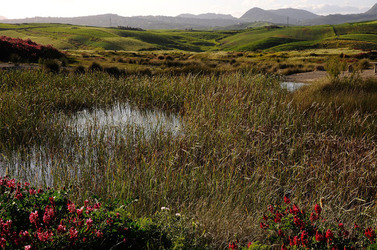 PAESAGGIO SICILIANO nel luogo delle macalube in Sicilia. Fotografie di Giulio Azzarello &copy;2014.