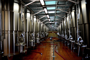 ACCIAI per il vino. Fotografie di Giulio Azzarello ©2016.