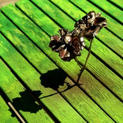 METALLICO. Fotografia di Giulio Azzarello &copy;2023.