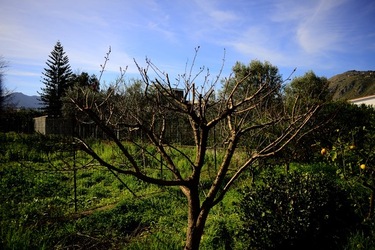 CAMPAGNA fotografie di Giulio Azzarello ©2020.