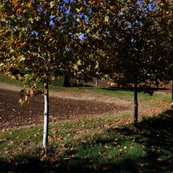 VICENZA La Rotonda di Andrea Palladio. Fotografie di Giulio Azzarello &copy;2022.