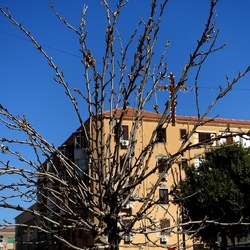 Arabo Normanno. Fotografie di Giulio Azzarello ©2024. Arabo Normanno. Fotografie di Giulio Azzarello ©2024.