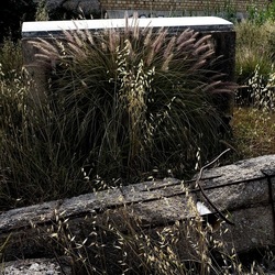 ZISA. Fotografie di Giulio Azzarello &copy;2023.