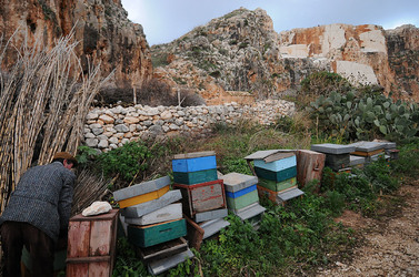 IL PRESEPE VIVENTE DI CUSTONACI in Sicilia. Fotografie di Giulio Azzarello ©2014. IL PRESEPE VIVENTE DI CUSTONACI in Sicilia. Fotografie di Giulio Azzarello ©2014.
