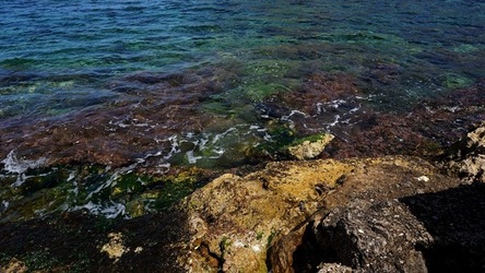 BAIA DEL CORALLO. Fotografie di Giulio Azzarello &copy;2022.