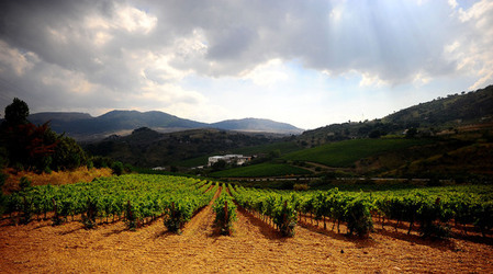 CAMPAGNA SICILIANA. Fotografie di Giulio Azzarello &copy;2016.