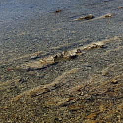 TRAPANI. Fotografie di Giulio Azzarello ©2022.