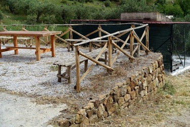 ULIVETO SICILIANO. Fotografie di Giulio Azzarello ©2022.