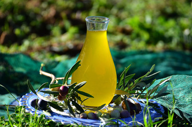 ULIVETO in autunno. Fotografie di Giulio Azzarello ©2014. ULIVETO in autunno. Fotografie di Giulio Azzarello ©2014.