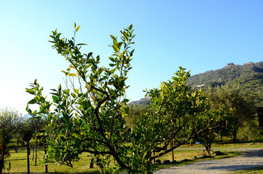 GOLE DELL ALCANTARA in Sicilia. Fotografie di Giulio Azzarello &copy;2016.