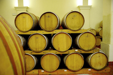 BOTTI per il vino. Fotografie di Giulio Azzarello ©2016. BOTTI per il vino. Fotografie di Giulio Azzarello ©2016.