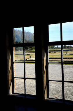AUSCHWITZ BIRKENAU il percorso della memoria e i documenti. Fotografie di Giulio Azzarello &copy;2016.