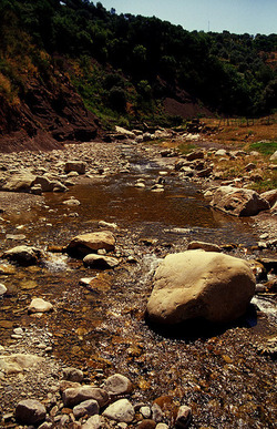 FIUMARA D ARTE fotografie di Giulio Azzarello ©1996 2021.