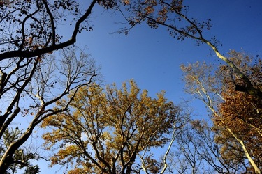 VENEZIA Giardini della Biennale di Arch. Cont.. Fotografie di Giulio Azzarello ©2022.