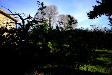 CAMPAGNA fotografie di Giulio Azzarello ©2020.