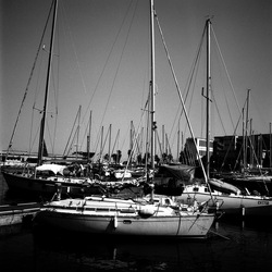VELA fotografie di Giulio Azzarello ©2021. VELA fotografie di Giulio Azzarello ©2021.