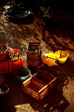 DIGITALIZZAZIONI fotografie di Giulio Azzarello &copy;2020.