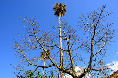 MACCHIA MEDITERRANEA in Sicilia. Fotografie di Giulio Azzarello &copy;2106.