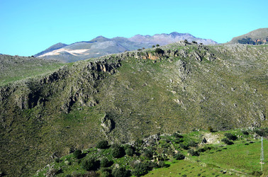 MACCHIA MEDITERRANEA in Sicilia. Fotografie di Giulio Azzarello &copy;2106.