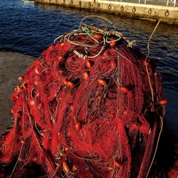 RETI DA PESCA. Fotografie di Giulio Azzarello &copy;2022.