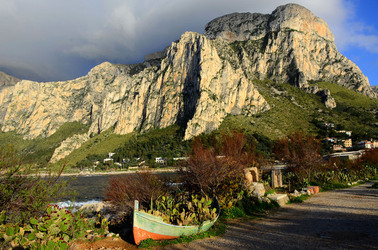 MACCHIA MEDITERRANEA in Sicilia. Fotografie di Giulio Azzarello &copy;2106.