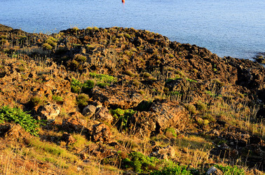 ISOLA DI USTICA la costa. Fotografie di Giulio Azzarello &copy;2016.
