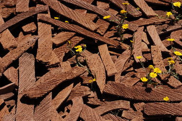 ARTE CONTEMPORANEA A PIRGI sito e riserva archeologica. Fotografie di Giulio Azzarello &copy;2014.